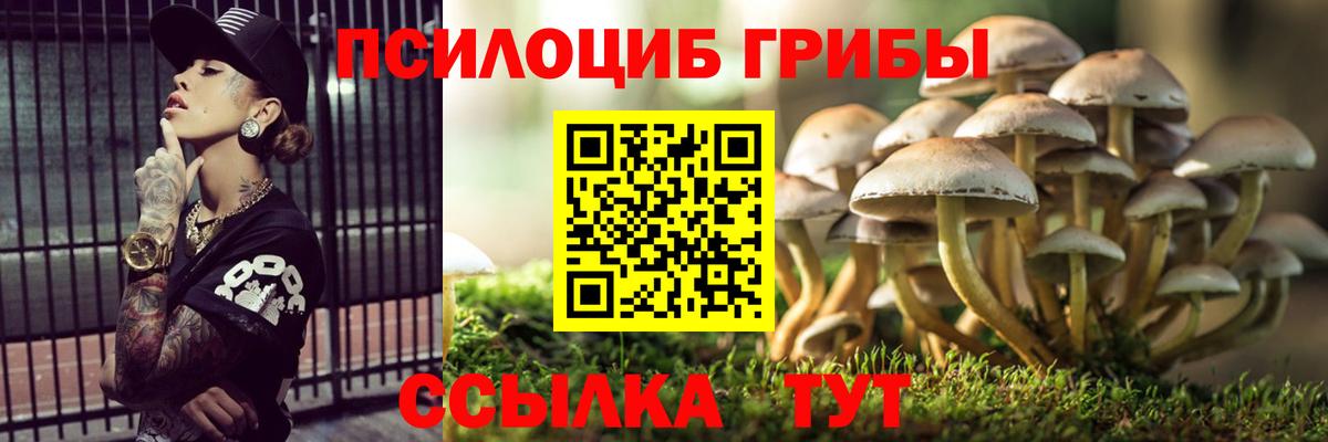 Моздок  Галлюциногенные грибы прущие грибы  Вход с VPN 